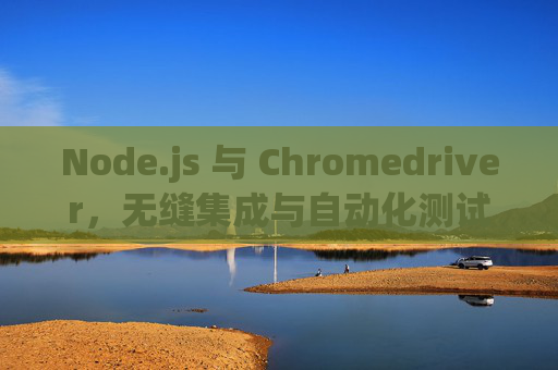 Node.js 与 Chromedriver，无缝集成与自动化测试的力量